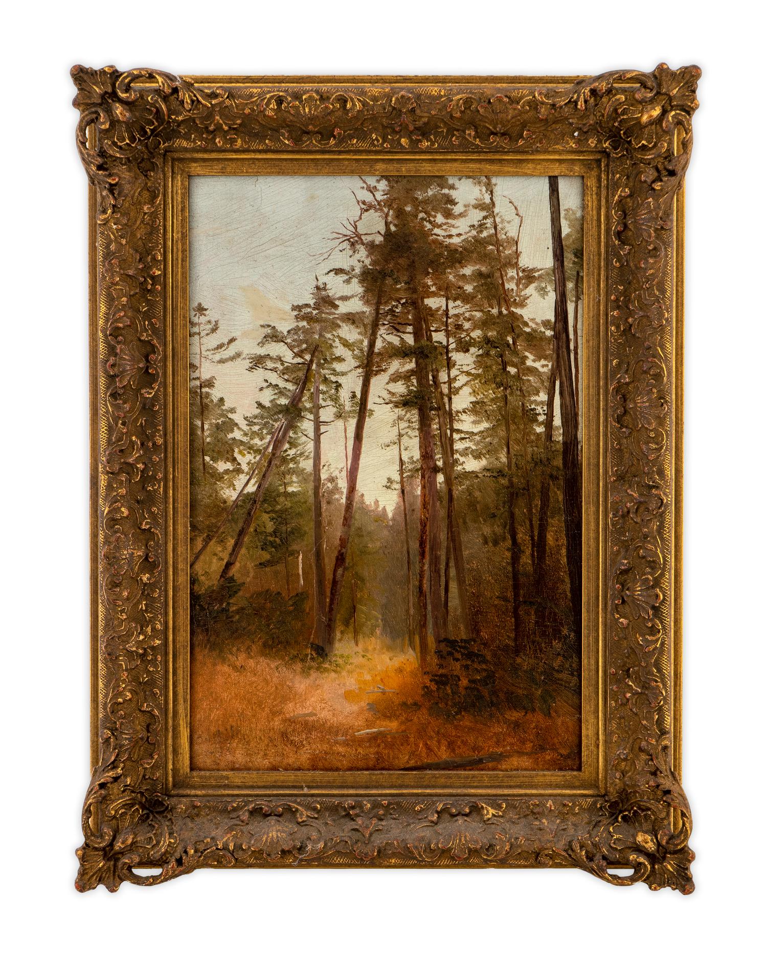 Tall Pines