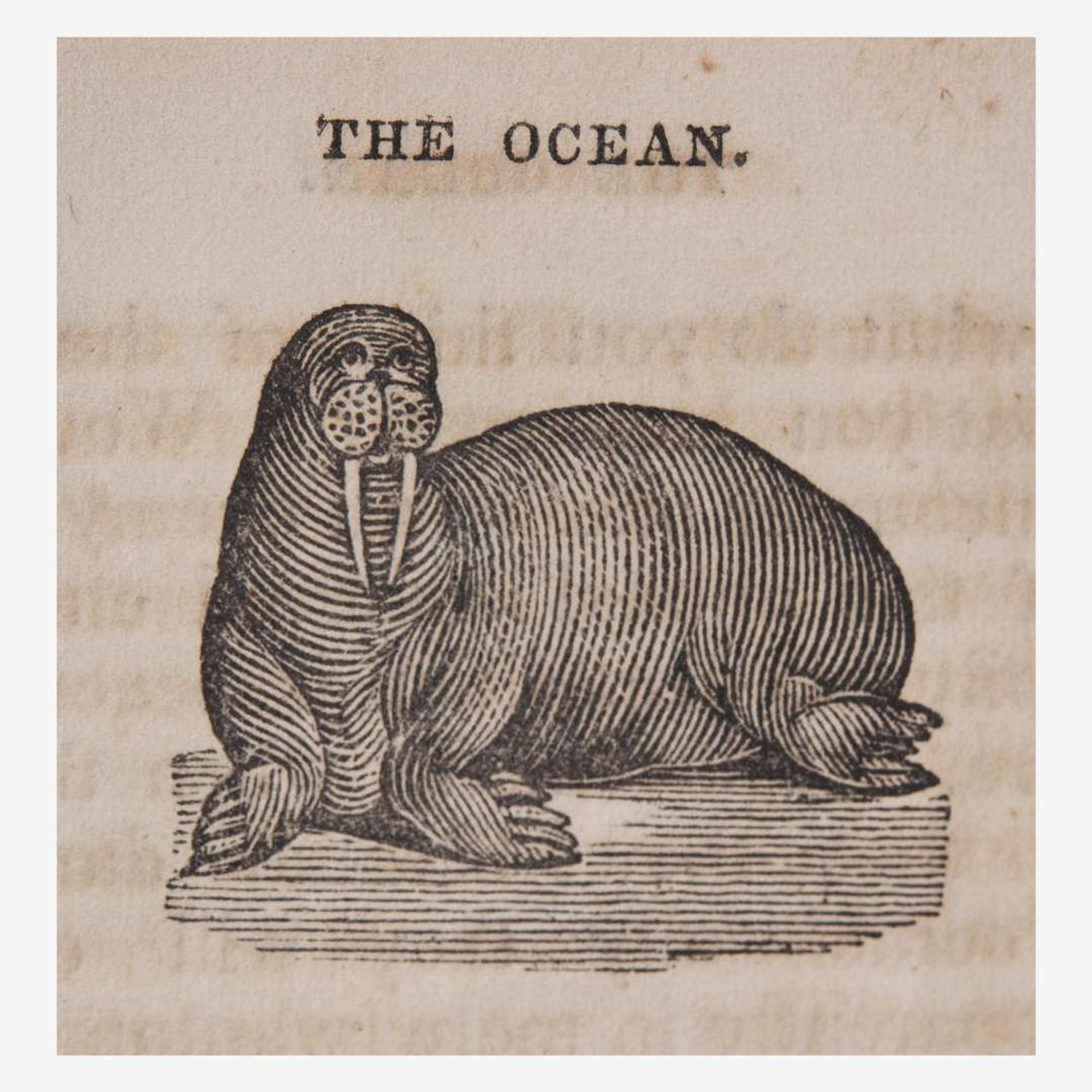 [Children's & Illustrated] [Anderson, Alexander] The Child's Book of the Ocean