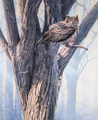 Great Horned Owl