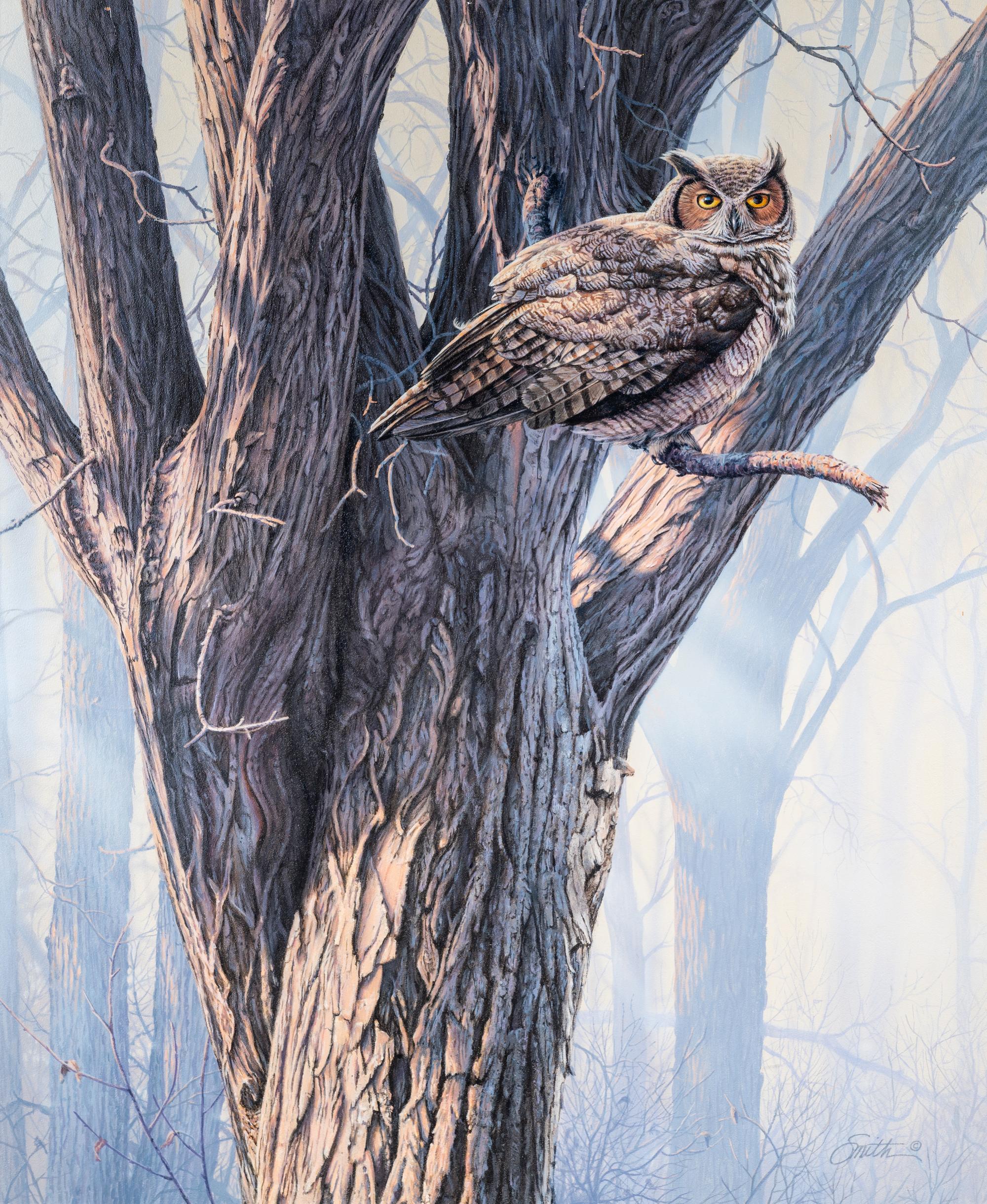 Great Horned Owl