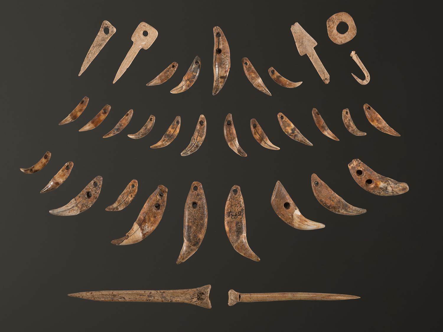A Frame of Drilled Teeth, Bone Hairpins, and Fish Hooks