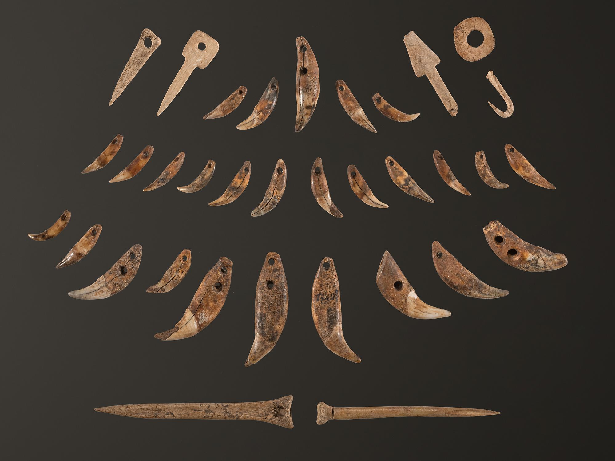 A Frame of Drilled Teeth, Bone Hairpins, and Fish Hooks