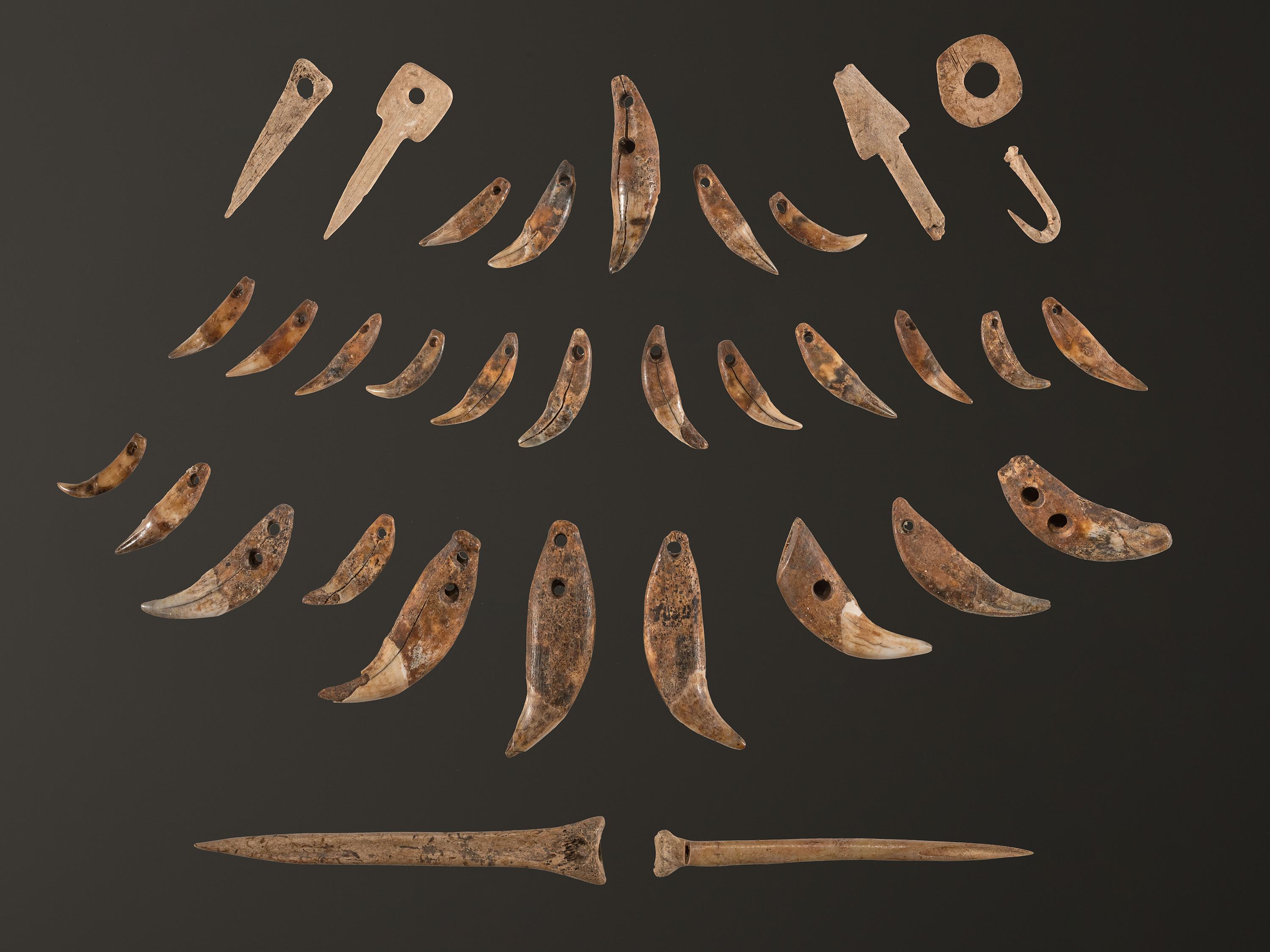 A Frame of Drilled Teeth, Bone Hairpins, and Fish Hooks