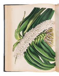 WARNER, Robert (fl. 1862-1894) and Benjamin Samuel WILLIAMS (1822-1890). Select Orchidaceous Plants . [First series]. London: Lovell Reeve & Co., 1862.