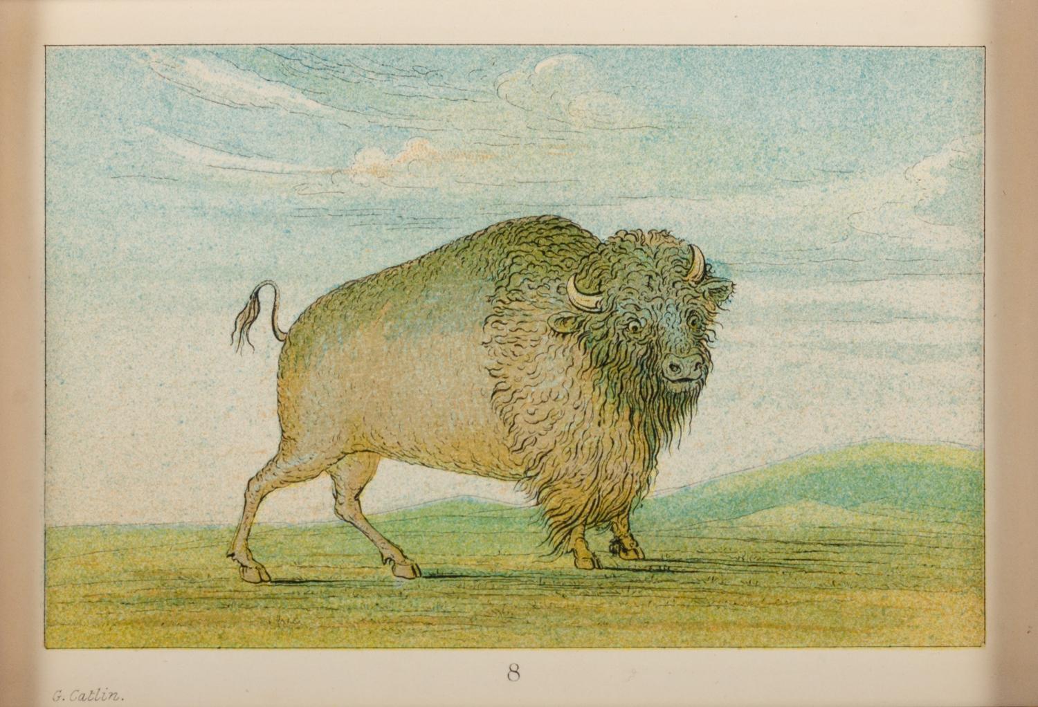 After George Catlin (American, 1796-1872)