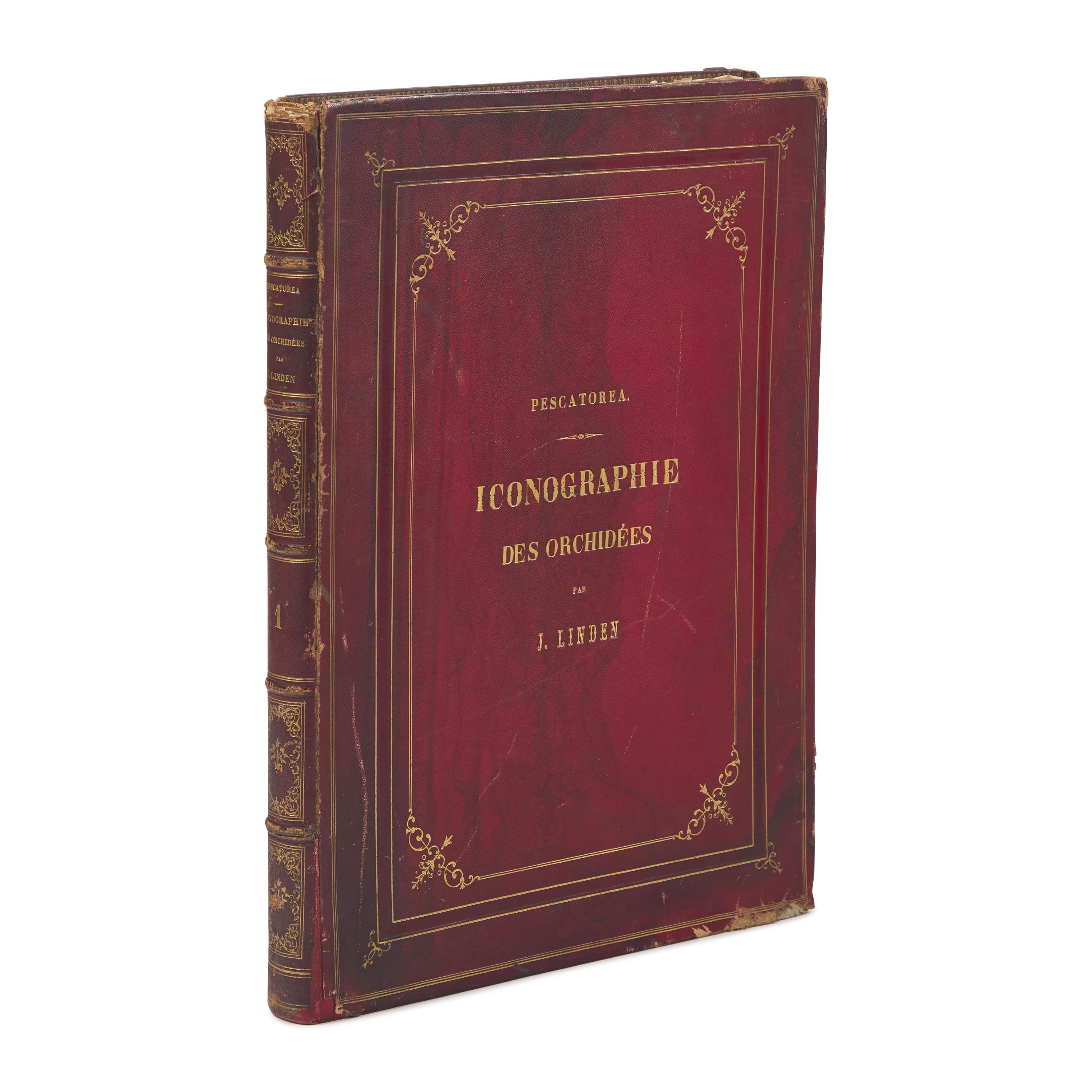 [Natural History] Linden, Jean Jules. Pescatorea. Iconographie des Orchidees