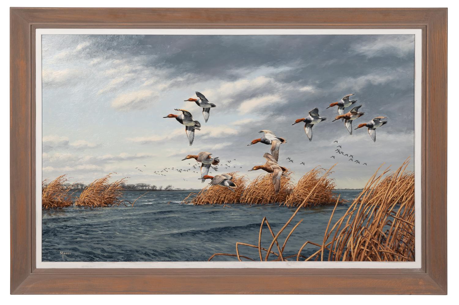 Untitled ( Redheads in Marsh)