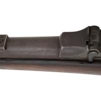 Springfield Model 1884 Carbine with 1890 Upgrades