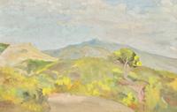 Paysage du Midi