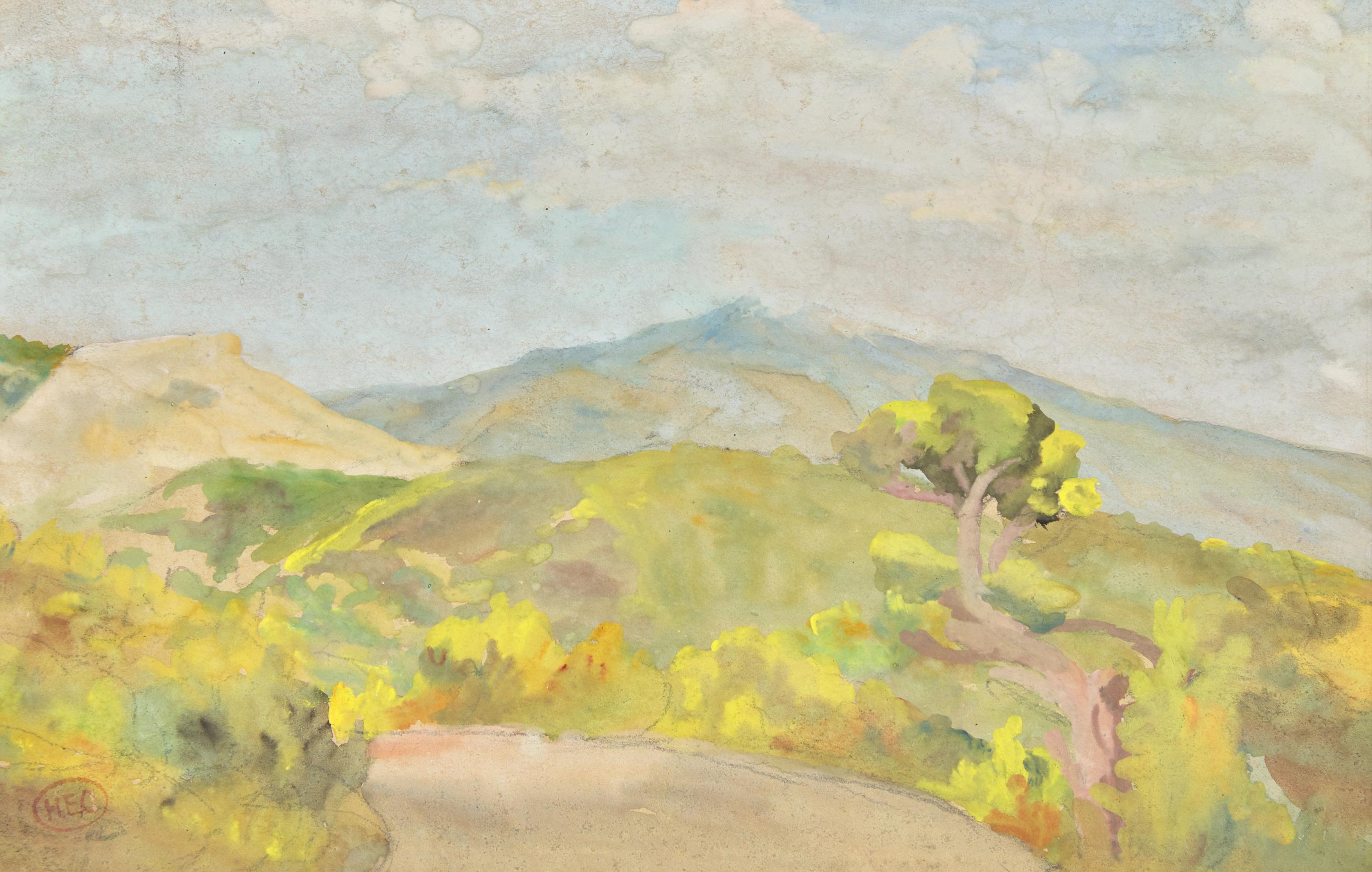 Paysage du Midi