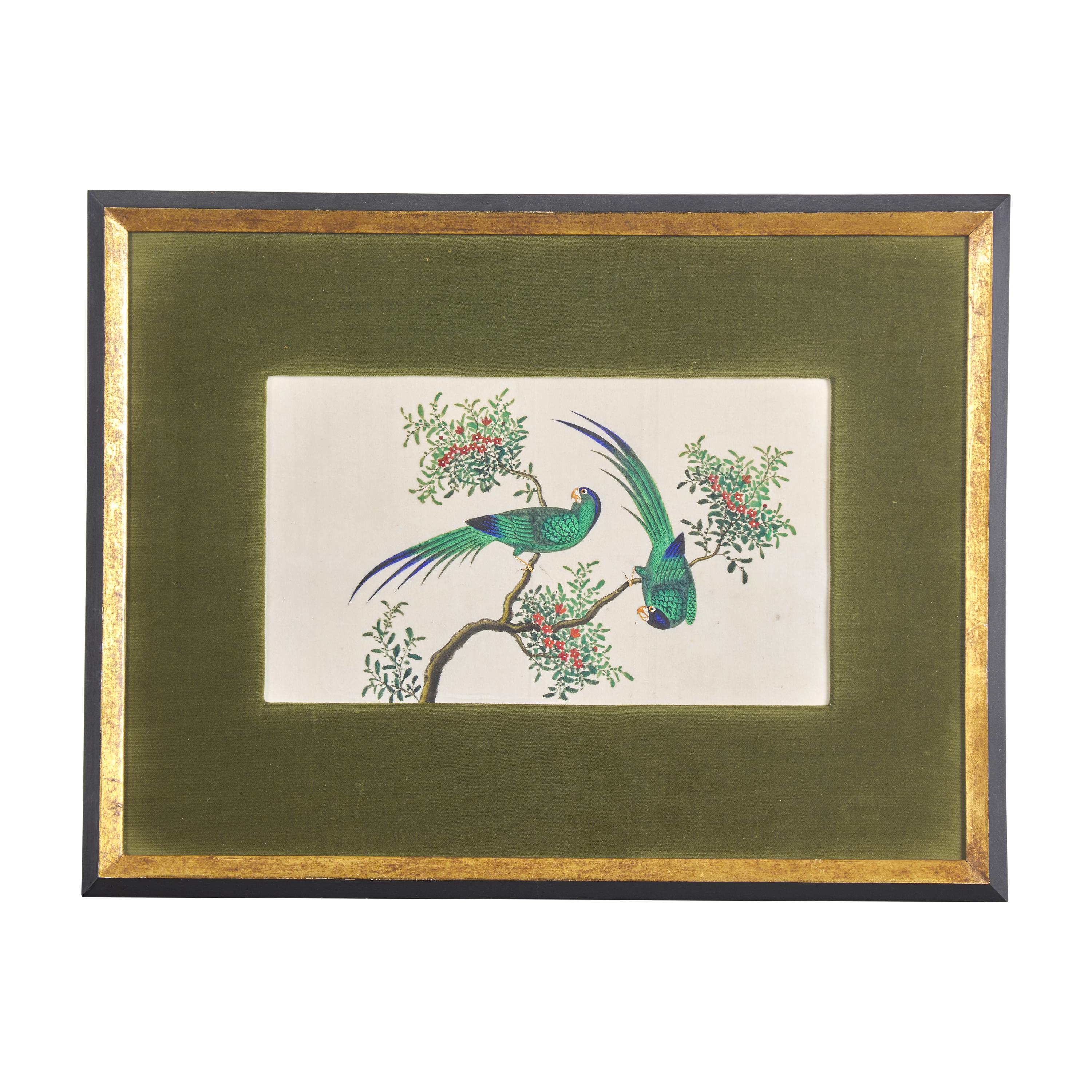 Four Chinese Pith Paintings, Late 19th-Early 20th Century 清晚期 通草畫四幅