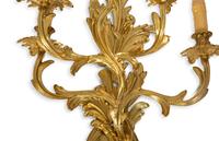 A Pair of Louis XV Style Gilt Bronze Five-Light Sconces — 19TH/20TH CENTURY