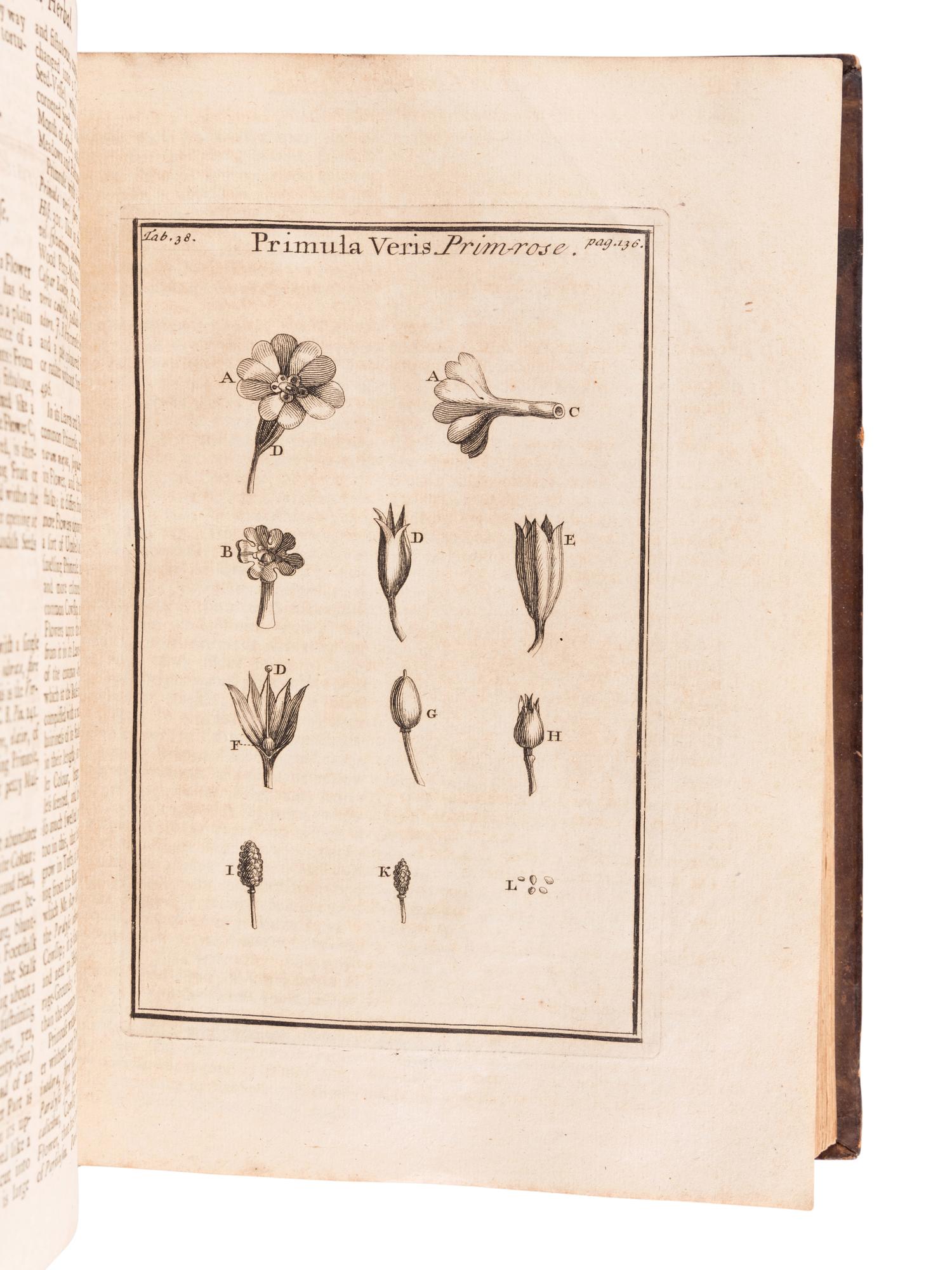 TOURNEFORT, Joseph Pitton de (1656-1708). Institutiones rei herbariae . Paris: Typographia Regia, 1700.