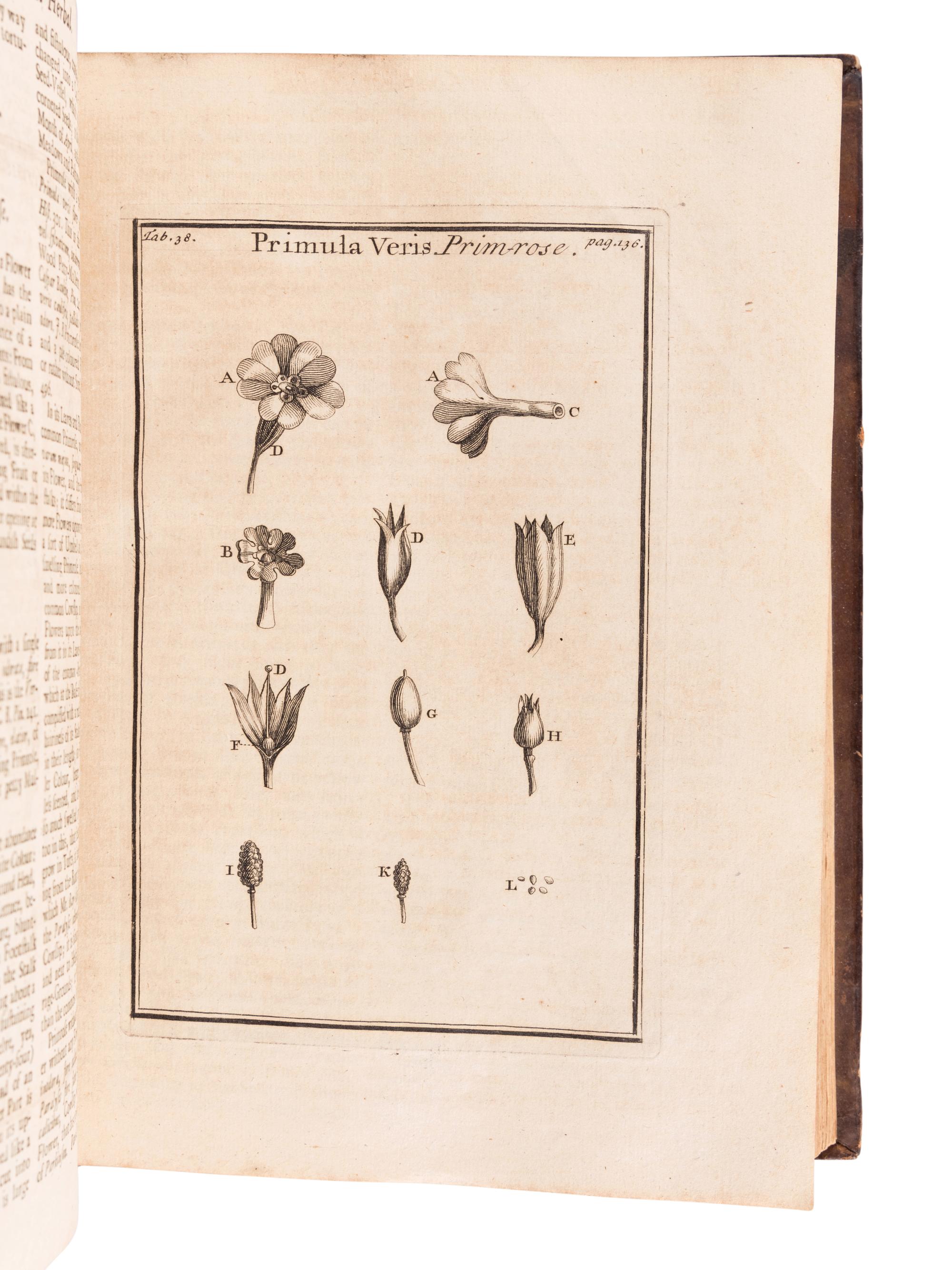 TOURNEFORT, Joseph Pitton de (1656-1708). Institutiones rei herbariae . Paris: Typographia Regia, 1700.