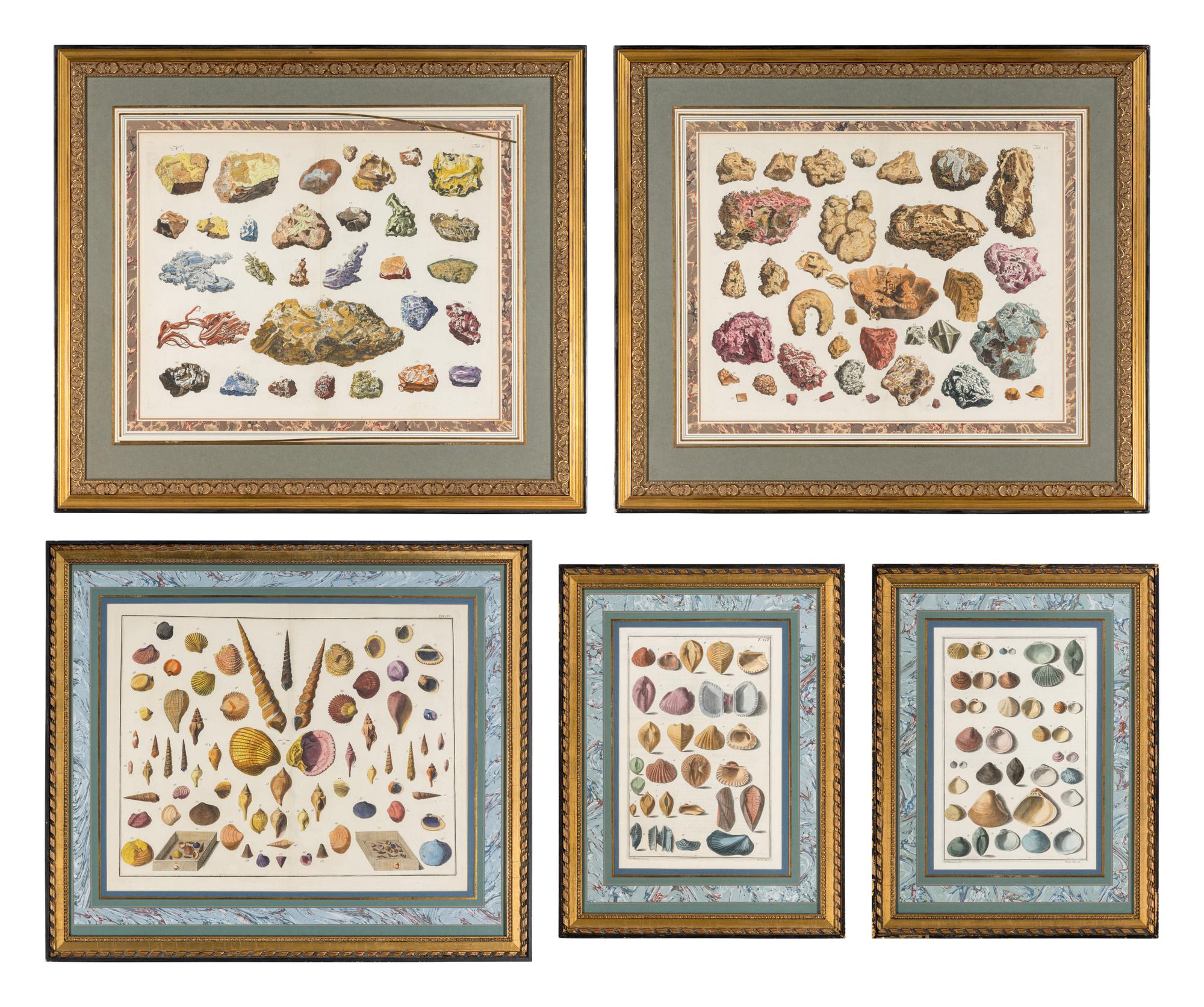 Five Framed Hand-Colored Engravings Depicting Mineral and Shell Specimens