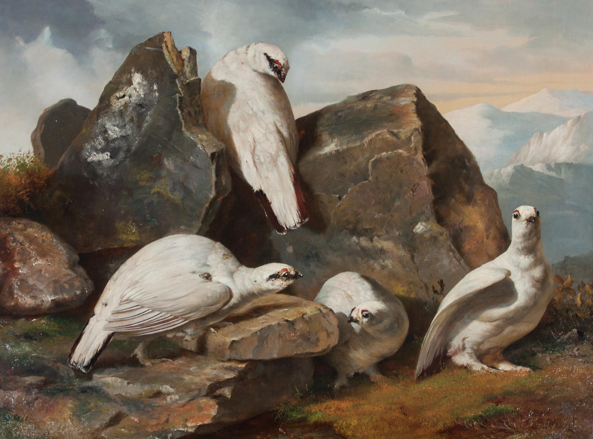 John Christopher Bell, (British, fl. 1847-1892), Two works: Ptarmigans, 1860