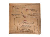 A Bound Set of Folk Art Scientific Drawings