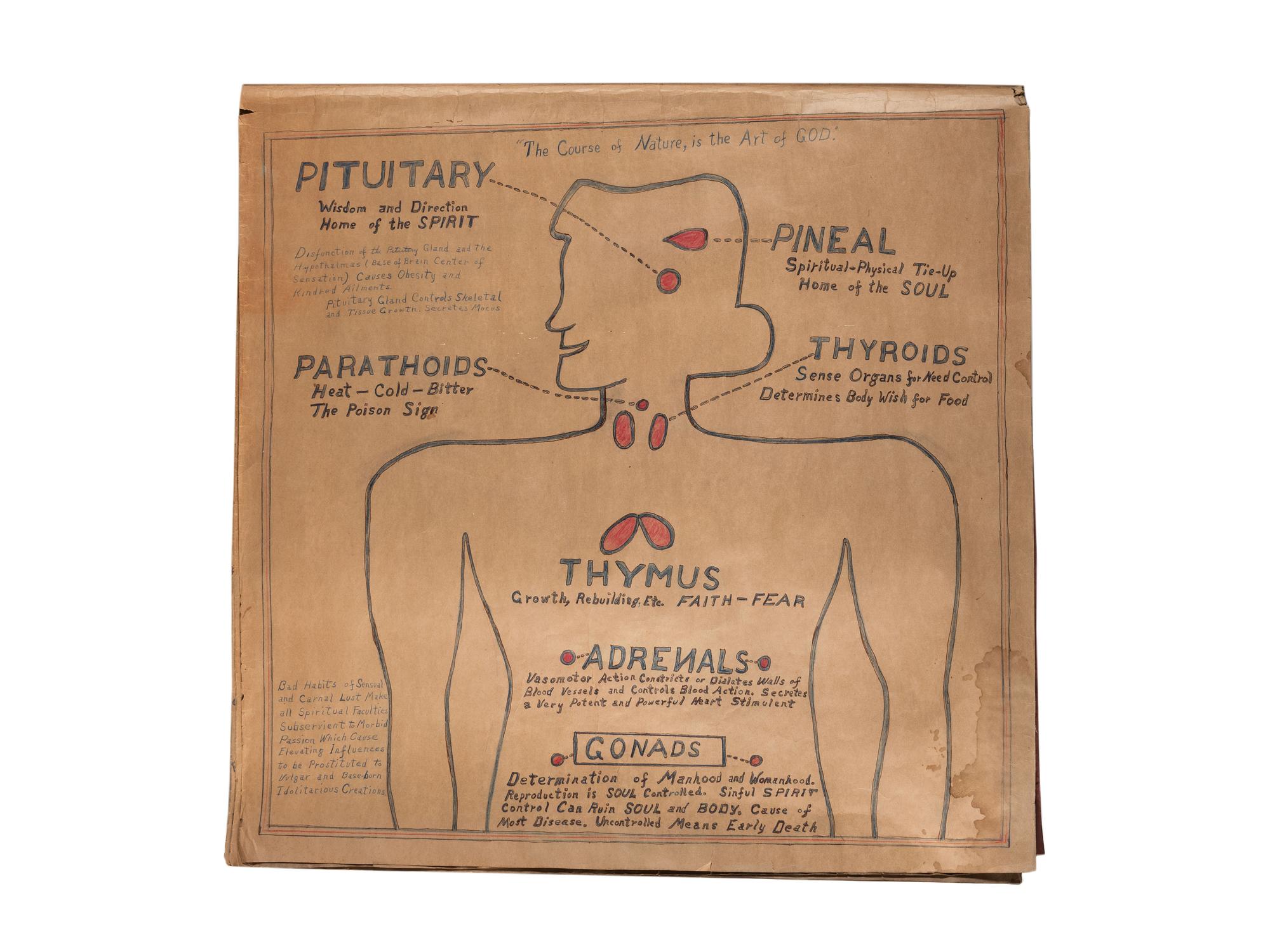 A Bound Set of Folk Art Scientific Drawings