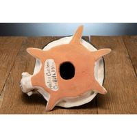 Mother Turtle Pottery Storyteller