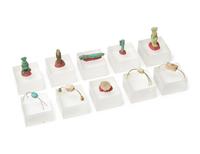 A Group of 10 Egyptian Faience Amulets and Scarabs