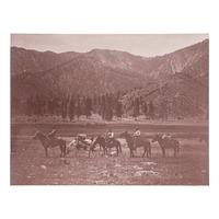 [CALIFORNIA]. A ca 1895-1900 album with images of California missions and tourist destinations, as well as images of central and northern California, comprising: