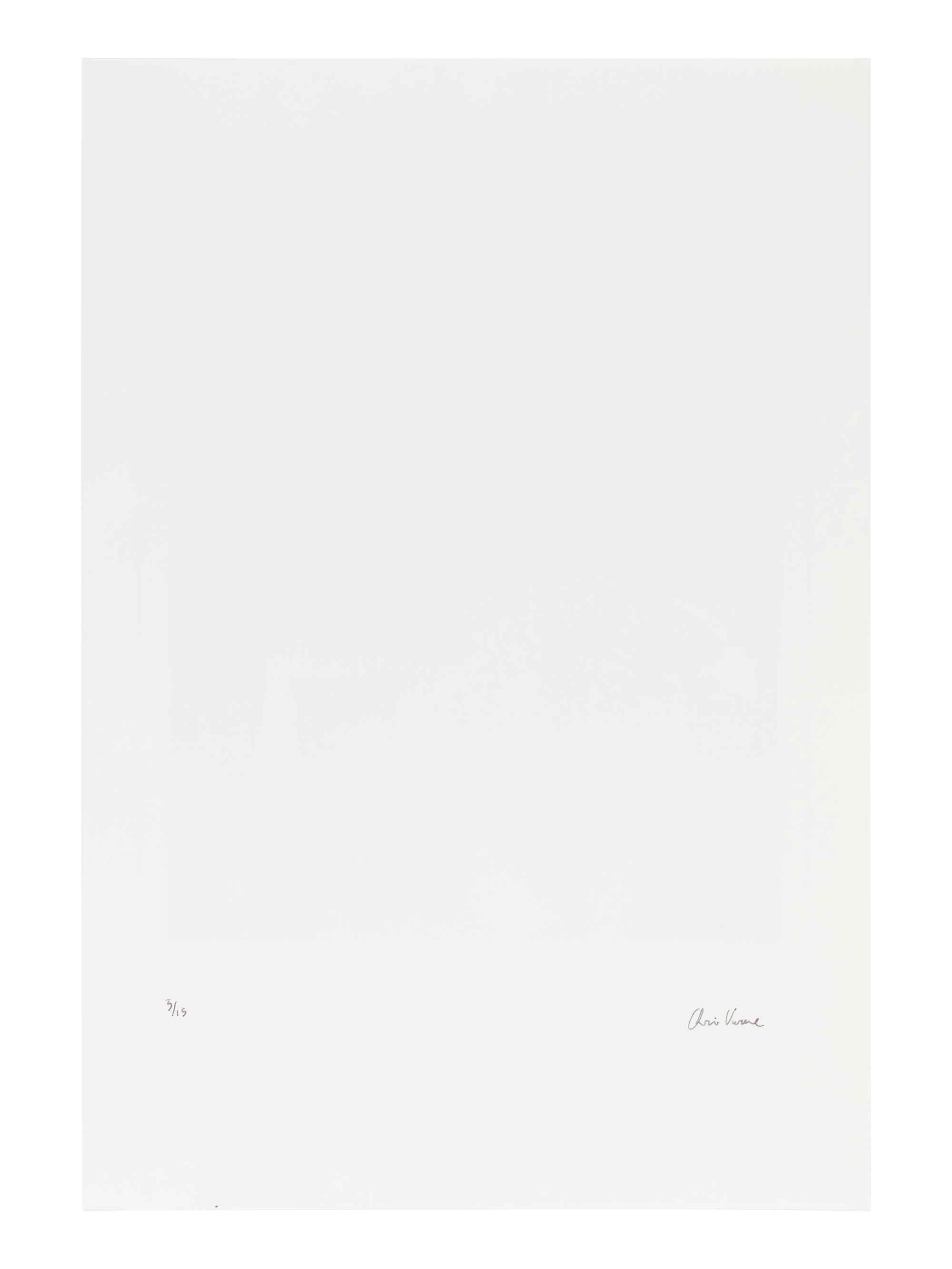 Chris Verene (born 1969) "Family", Front Cover for "New Monograph", 2008
