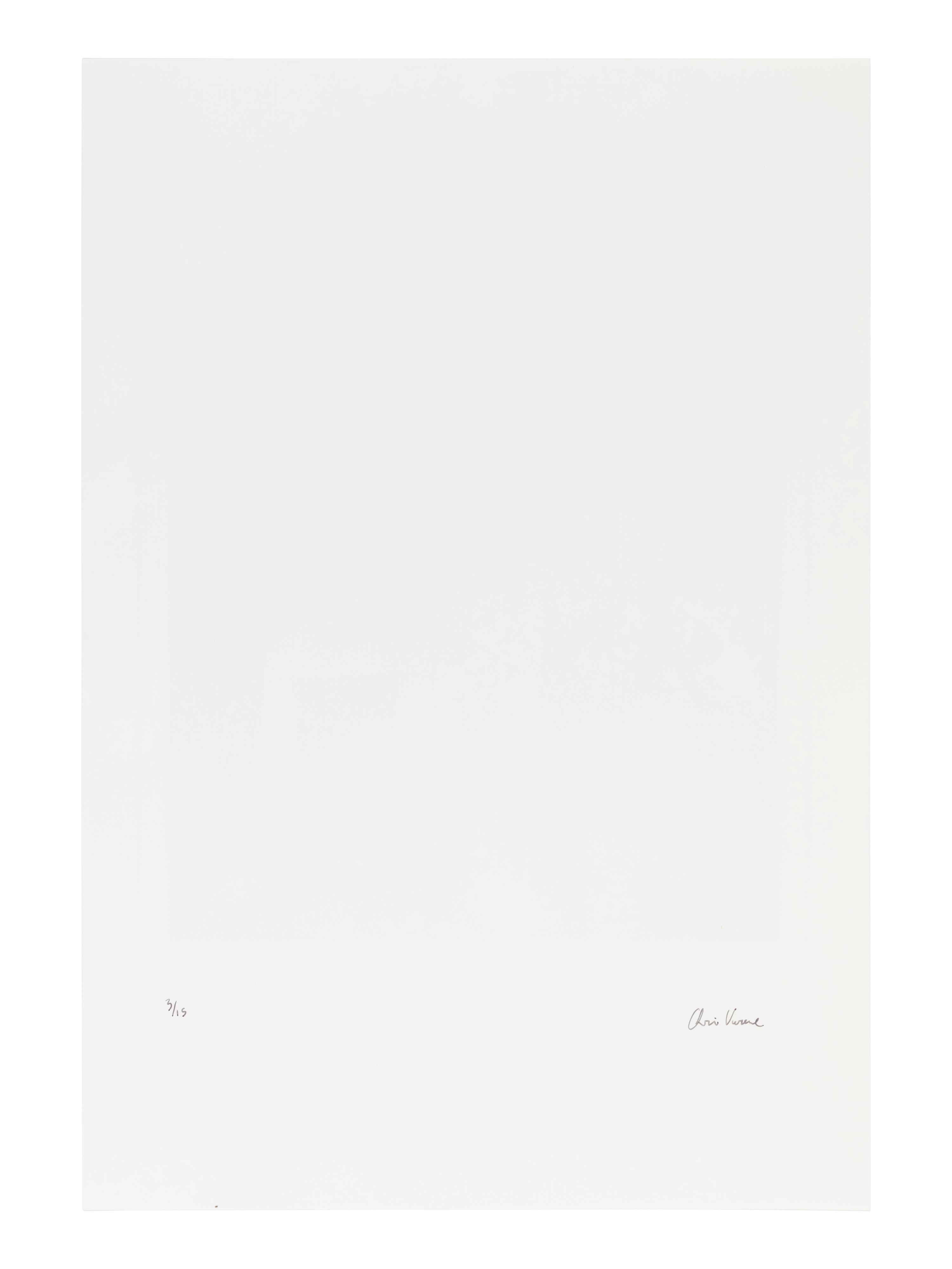 Chris Verene (born 1969) "Family", Front Cover for "New Monograph", 2008