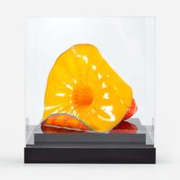 Dale Chihuly Marigold Persian, USA, 2014