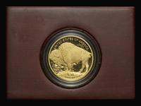 A 2010 Buffalo Commemorative 1 oz. Gold Proof