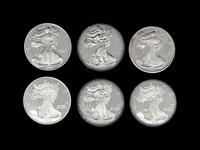 [PRIVATE ISSUE] Six 1/2-Pound Silver Rounds