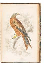 [NATURAL HISTORY]. JARDINE, William. (1800-1874). The Naturalist's Library . Edinburgh: W.H. Lizars, 1833-1843.