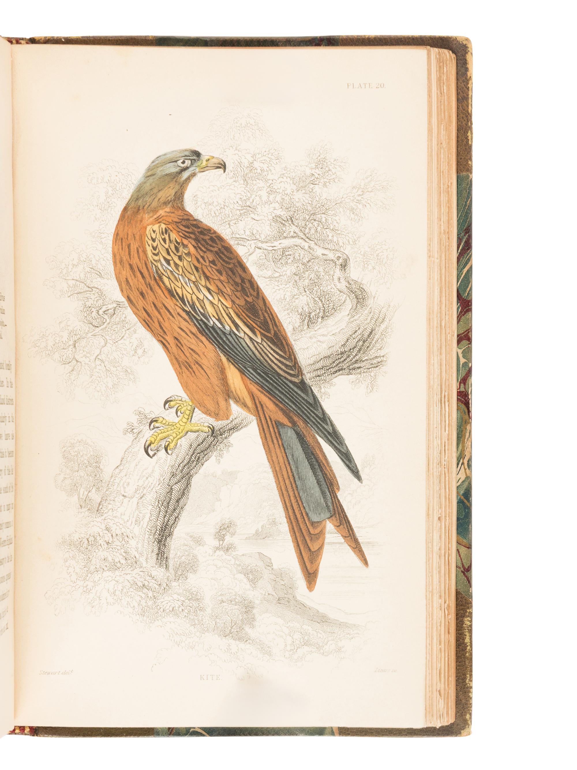 [NATURAL HISTORY]. JARDINE, William. (1800-1874). The Naturalist's Library . Edinburgh: W.H. Lizars, 1833-1843.