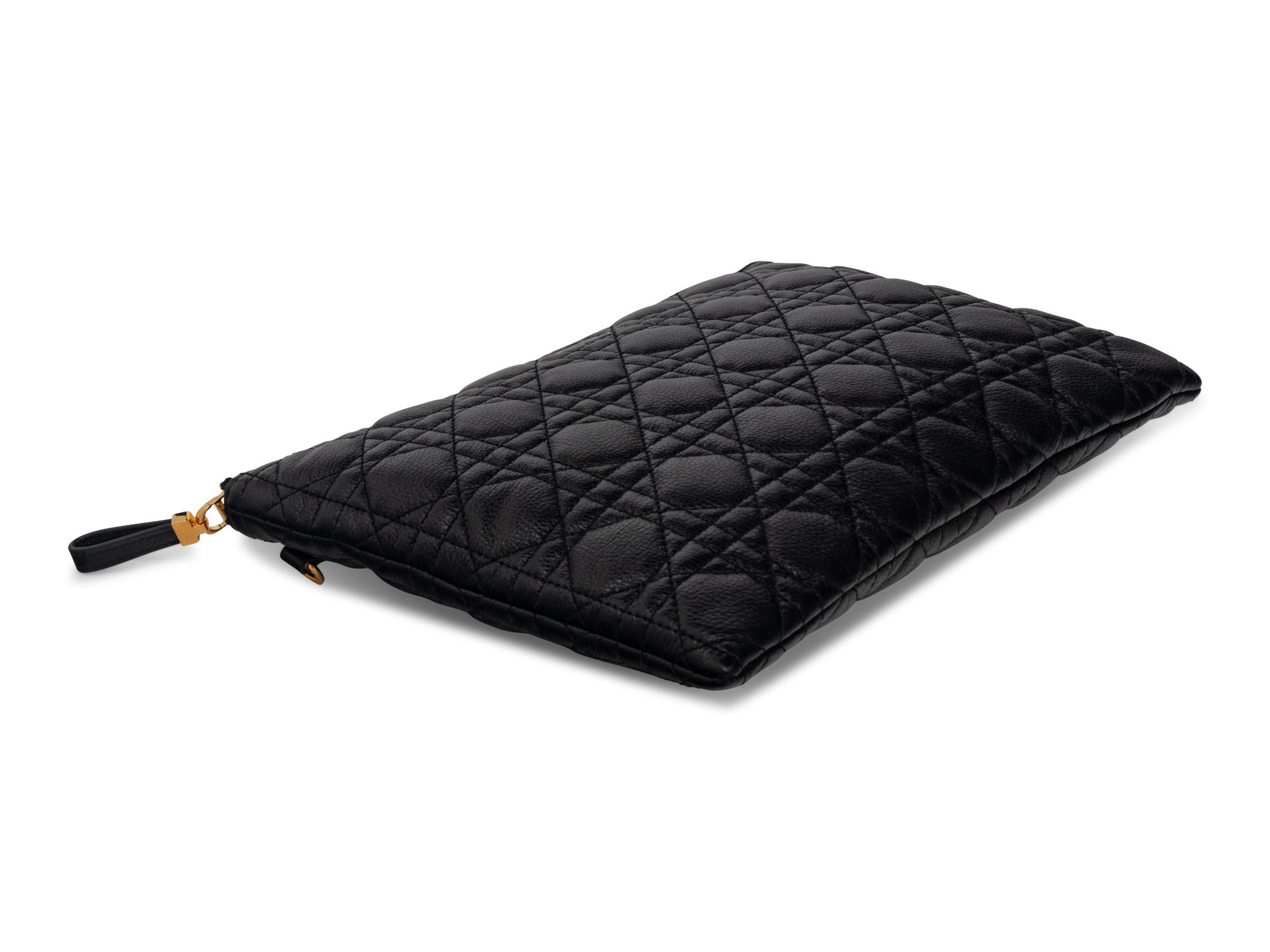 Christian Dior Clutch, 2012