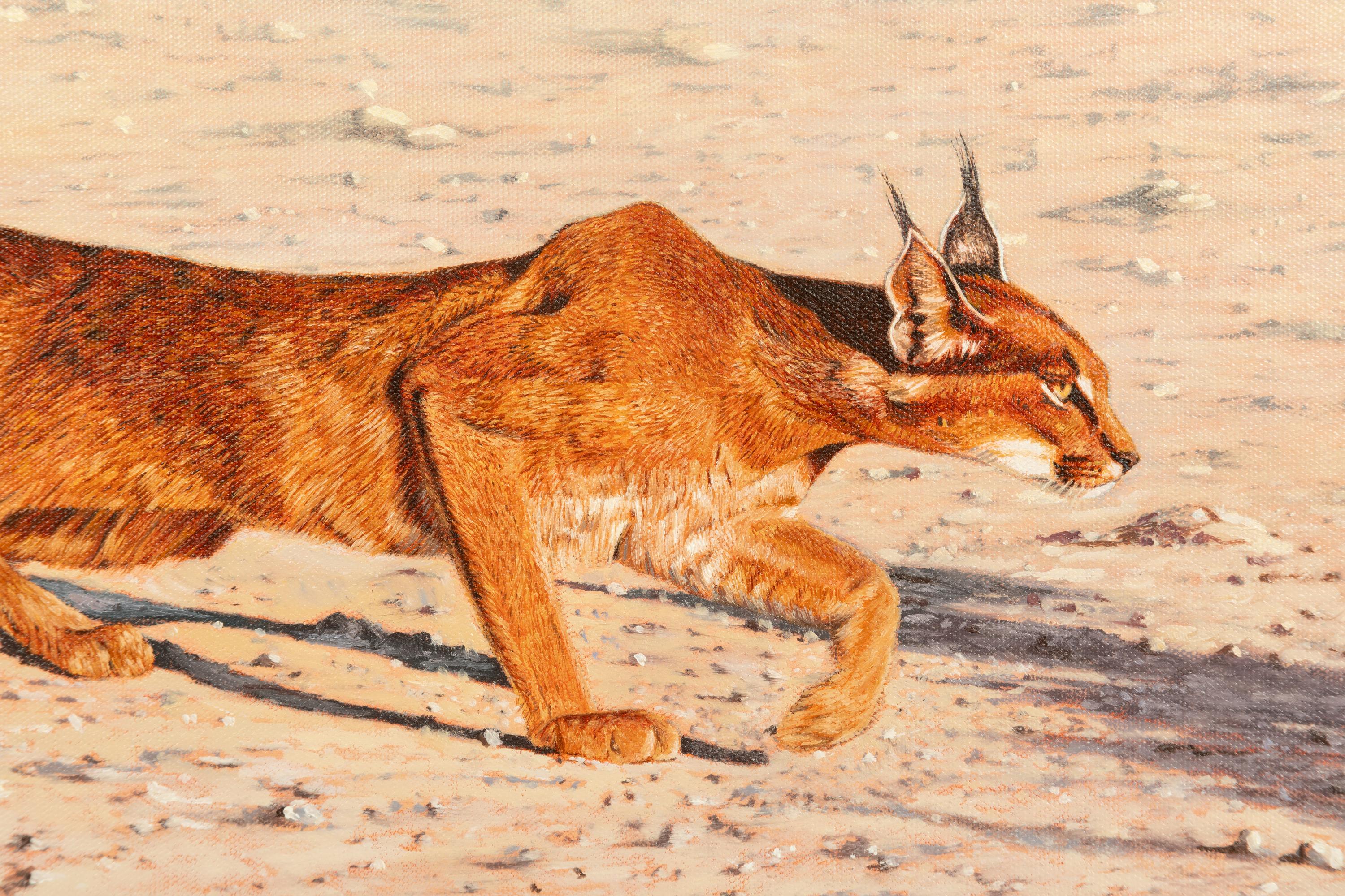 Caracal Study
