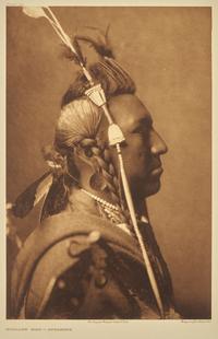 Edward Curtis (American, 1868-1952) — Swallow Bird - Apsaroke Plate 134