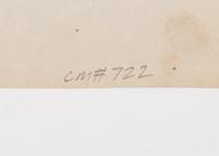A group of four photographs ( Cactus [Nice], before 1900 ; Pommiers [et blés] , 1910 or earlier; Sapin ([Petit] Trianon , 1910 or earlier; Palmier , before 1900)