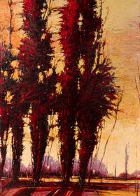 The Sawmill Poplars