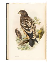 [NATURAL HISTORY]. GOULD, John (1804-1881). The Birds of Great Britain . London: Taylor and Francis, [1862-] 1873.