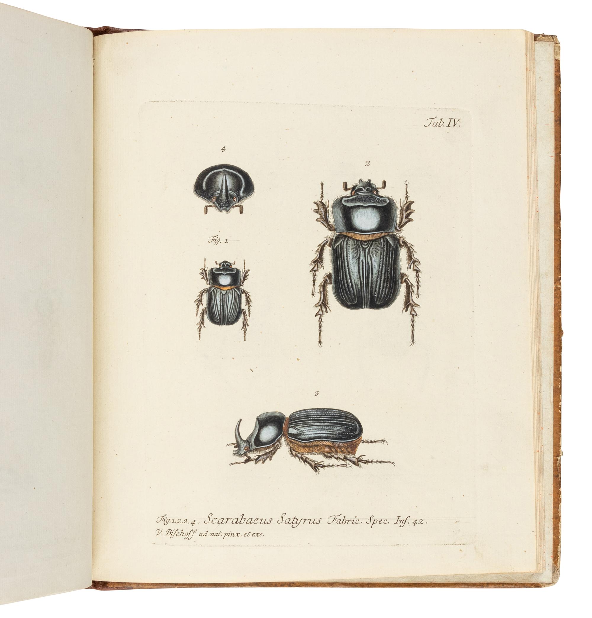 PANZER, Georg Wolfgang Franz (1755-1829). Symbolae Entomologicae… cum tabulis XII. aeneis . Erlangen: Johann Jacob Palm, 1802.