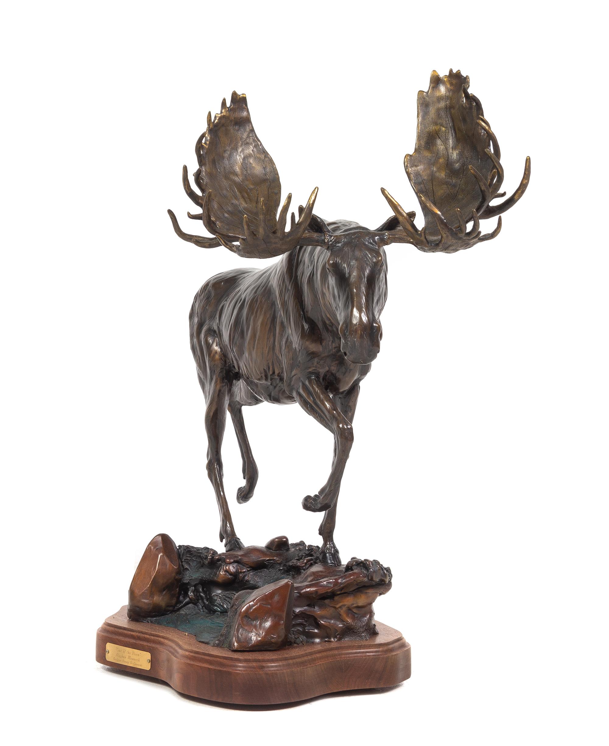Out of the Burn, Alaskan Monarch, 1997