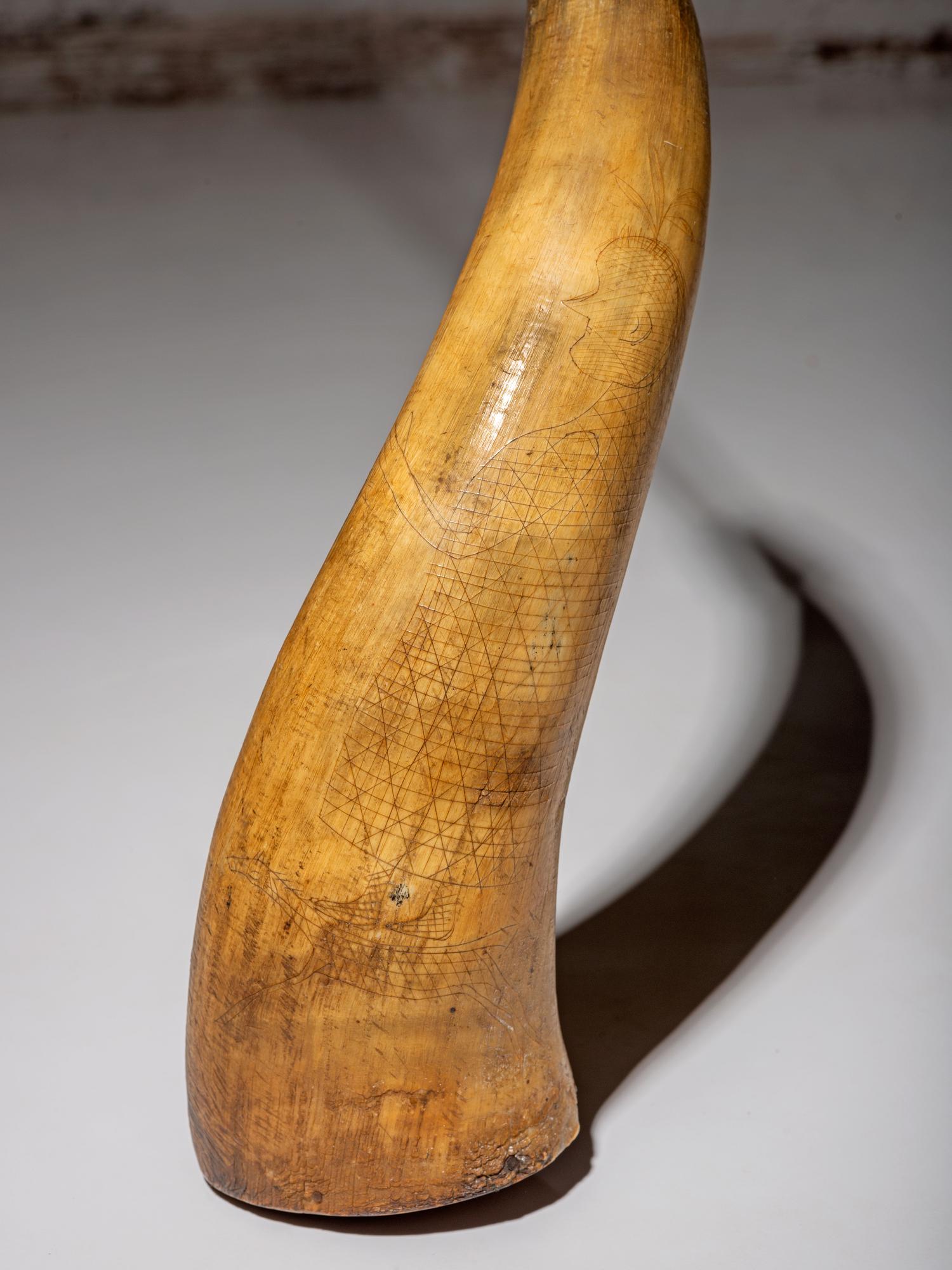 Great Lakes Incised Powder Horn