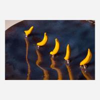Irv Tepper (American, b. 1947) Two Chargers: "Bananas Take a Walk in Space" and "Hot Dog in Search of Mustard", USA, circa 1970
