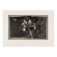 Frank Howell (American, 1937–1997) — Letters Never Sent (portfolio of eight prints in original cloth covered case)