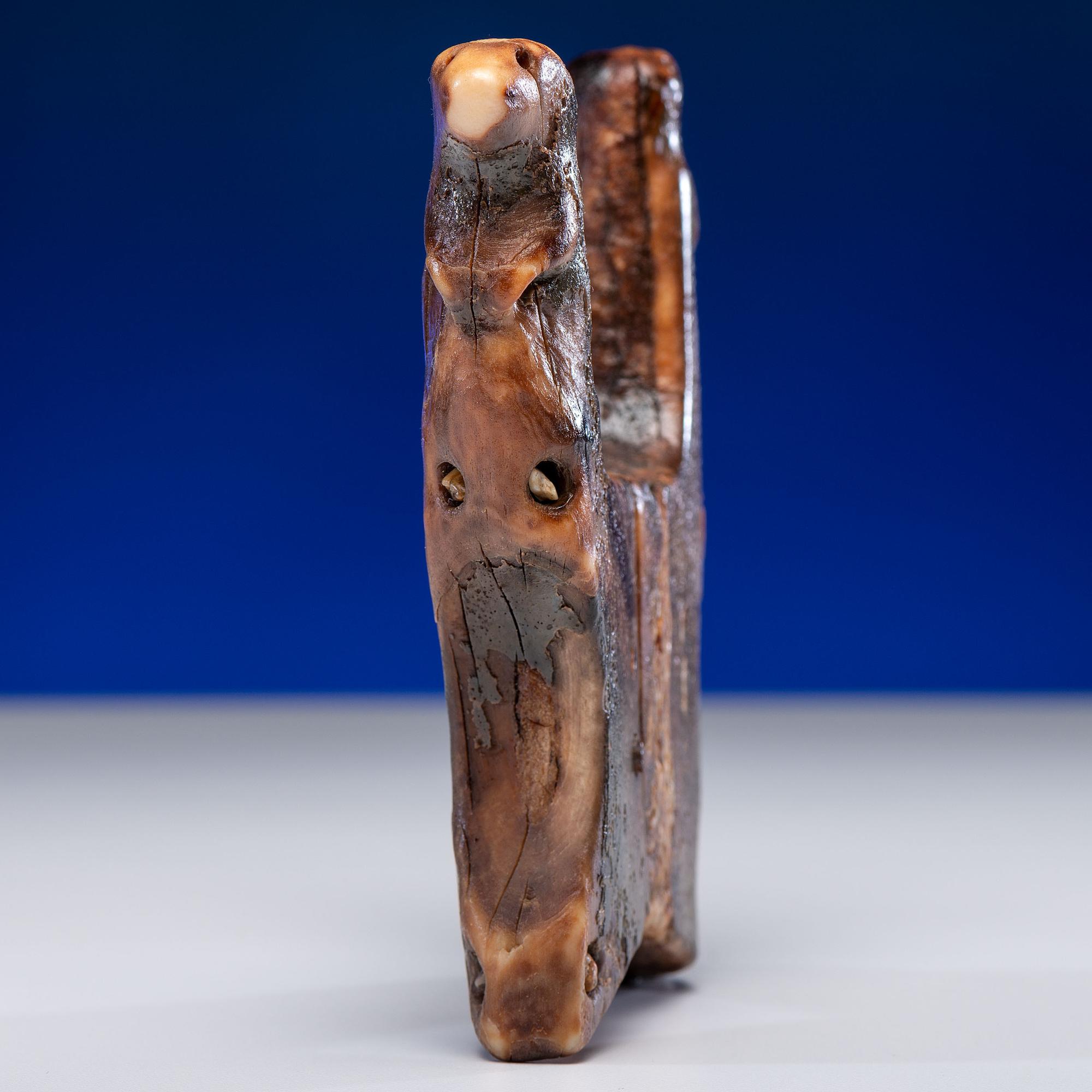 Iñupiat Fossilized Walrus Ivory Harpoon Rest, with Seals