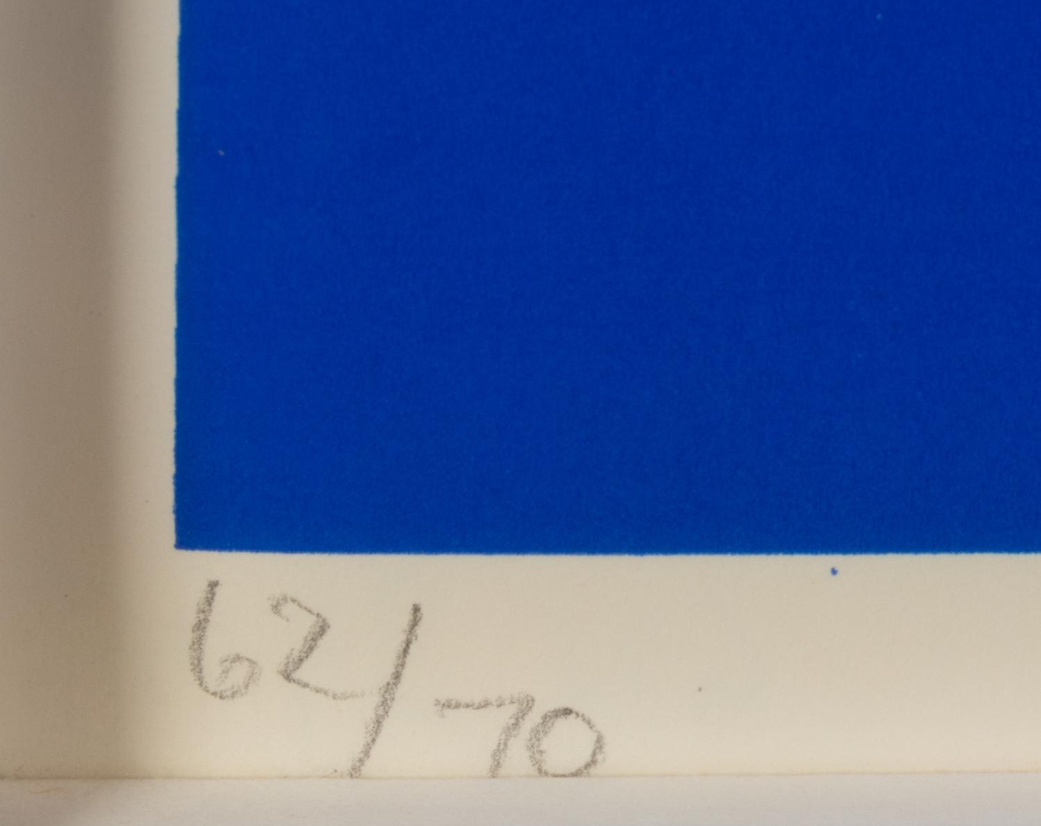 Disc with Blue Center