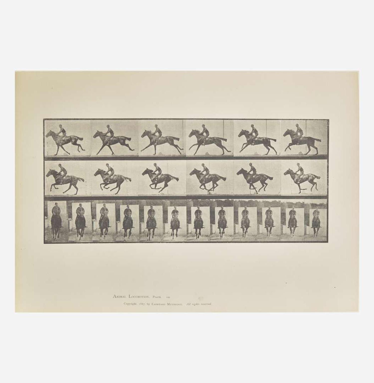 [Photography] Muybridge, Eadweard Collection of 111 Plates from "Animal Locomotion. An Electro-Photographic Investigation of Consecutive Phases of Animal Movements. 1872-1885"