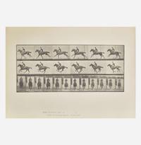 [Photography] Muybridge, Eadweard Collection of 111 Plates from "Animal Locomotion. An Electro-Photographic Investigation of Consecutive Phases of Animal Movements. 1872-1885"