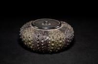 A Japanese Lacquer 'Sea Urchin' Box