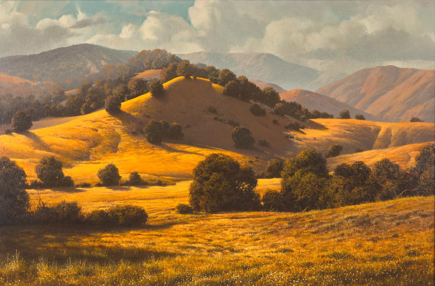 California Oaks