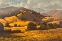 California Oaks